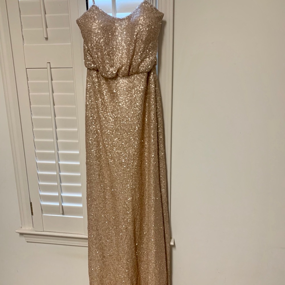 Sorella Vita Champagne Sequin Dress
